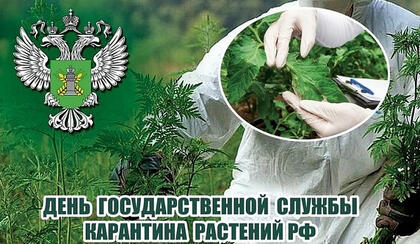День основания Госслужбы карантина растений